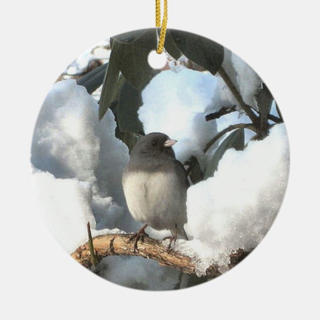 Ornamento De Cerâmica Junco do inverno (Frente)