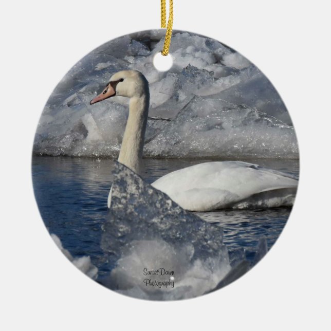 Ornamento De Cerâmica Juvenil Swan no Rio Icey (Frente)