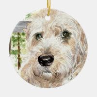 Katie o Wheaton revestido macio Terrier