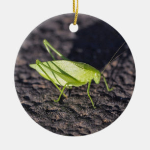 Ornamento De Cerâmica Katydid