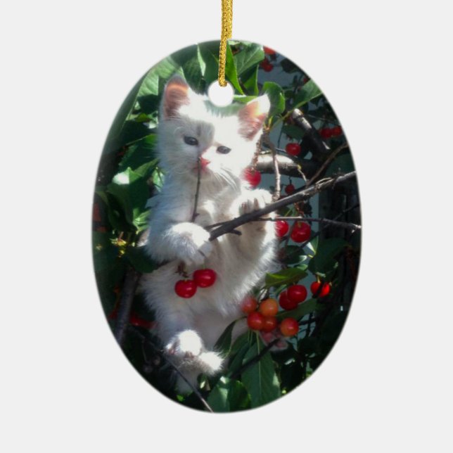 Ornamento De Cerâmica Keepsake Family Cat 1 Sided Photo (Frente)