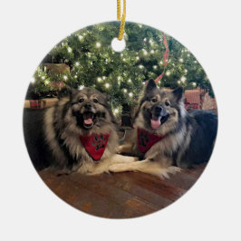 Ornamento De Cerâmica Keeshond com árvore de Natal