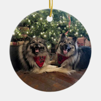 Ornamento De Cerâmica Keeshond com árvore de Natal