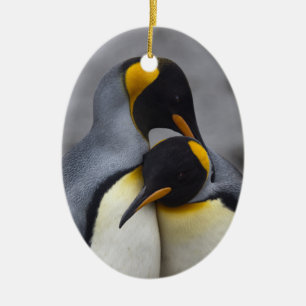 Ornamento De Cerâmica King Penguins in Love Ornament