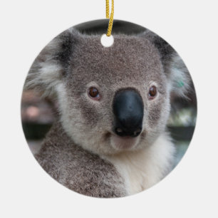 Ornamento De Cerâmica Koala australiano