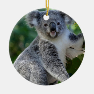Ornamento De Cerâmica Koala australiano peluches bonito