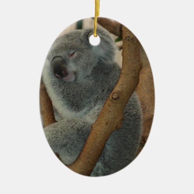 Ornamento De Cerâmica Koala Bear (Frente)
