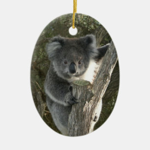 Ornamento De Cerâmica Koala bonito que escala uma árvore