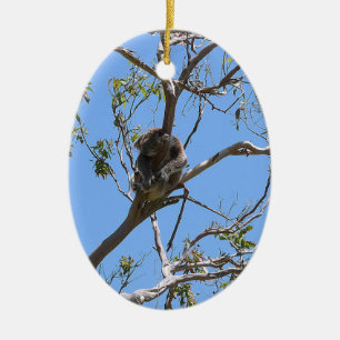 Ornamento De Cerâmica Koala Nap