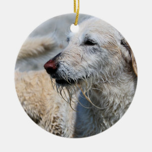 Ornamento De Cerâmica Labradoodle - Izzy