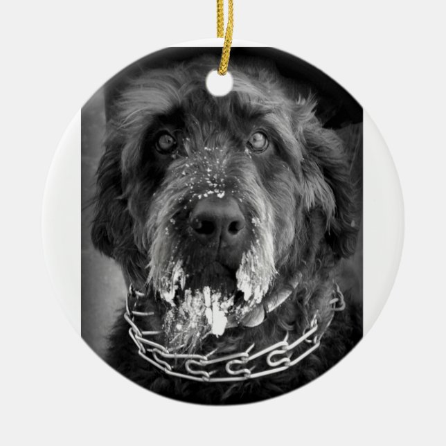 Ornamento De Cerâmica Labradoodle nevado (Frente)