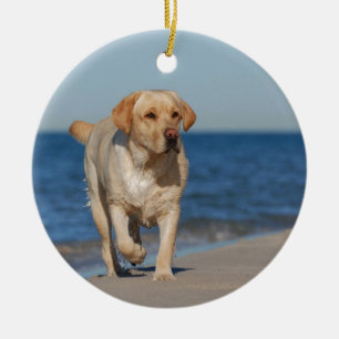 Ornamento De Cerâmica Labrador amarelo na praia