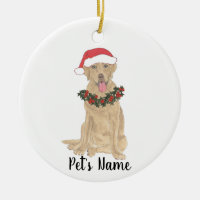 Labrador Personalizado (Dudley)