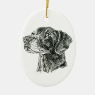 Ornamento De Cerâmica Labrador Preto