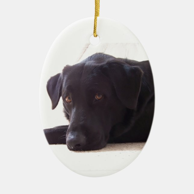 Ornamento De Cerâmica labrador retriever (Frente)