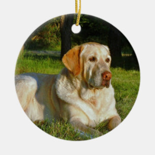 Ornamento De Cerâmica Labrador retriever amarelo