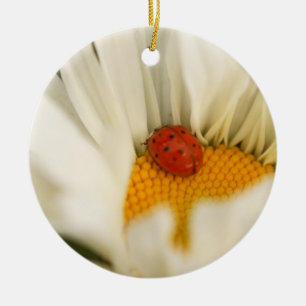 Ornamento De Cerâmica Ladybug e Daisy Ornament