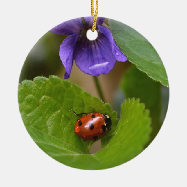 Ornamento De Cerâmica Ladybug em Flores de Violeta Doce (Frente)