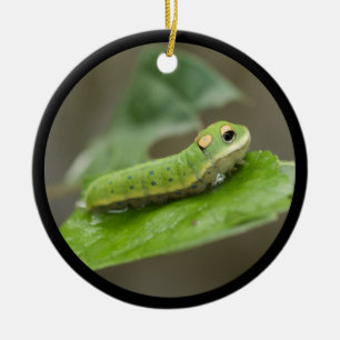 Ornamento De Cerâmica Lagarta-Borboleta Larva
