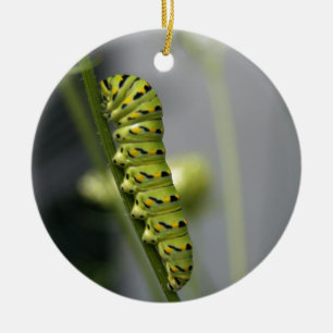 Ornamento De Cerâmica Lagarta-do-mato-preto (parasita) em Dil