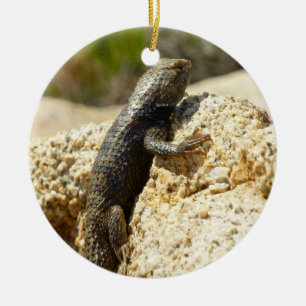 Ornamento De Cerâmica Lagarto Espinhoso de Dorso Amarelo em Joshua Tree