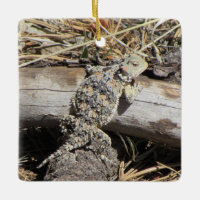 Lagarto Horned