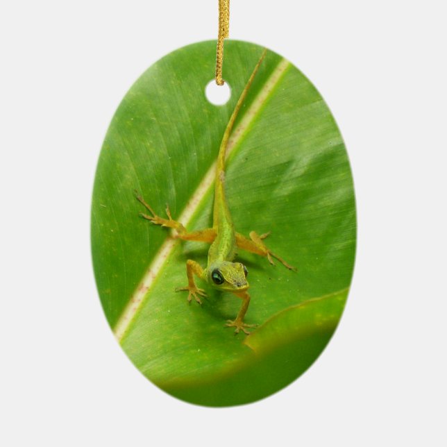Ornamento De Cerâmica Lagarto Verde na Folha Verde (Frente)