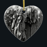 Ornamento De Cerâmica Lâmpadas de Tremor de Cinza em madeira de sarjeta<br><div class="desc">Uma bela imagem de uma seca de corte fresco contra uma parede rustica de madeira de celeiro com luzes cintilantes.</div>