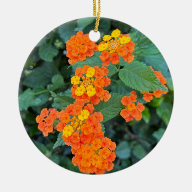 Ornamento De Cerâmica Lantana (Frente)