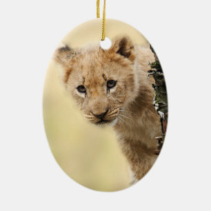 Ornamento De Cerâmica Leão Cub