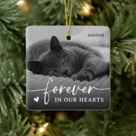 Ornamento De Cerâmica Lembrança de Foto de Gato de Estimação Elegante Me