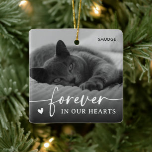 Ornamento De Cerâmica Lembrança de Foto de Gato de Estimação Elegante Me