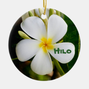 Ornamento De Cerâmica Lembrança Havaiana