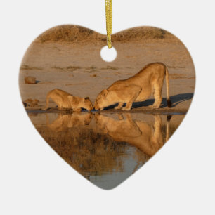 ORNAMENTO DE CERÂMICA LEOA E FILHOTE TOMANDO UM BEBIDA REFLETIDA