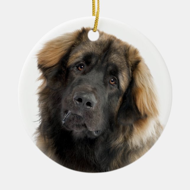 Ornamento De Cerâmica Leonberger (Frente)