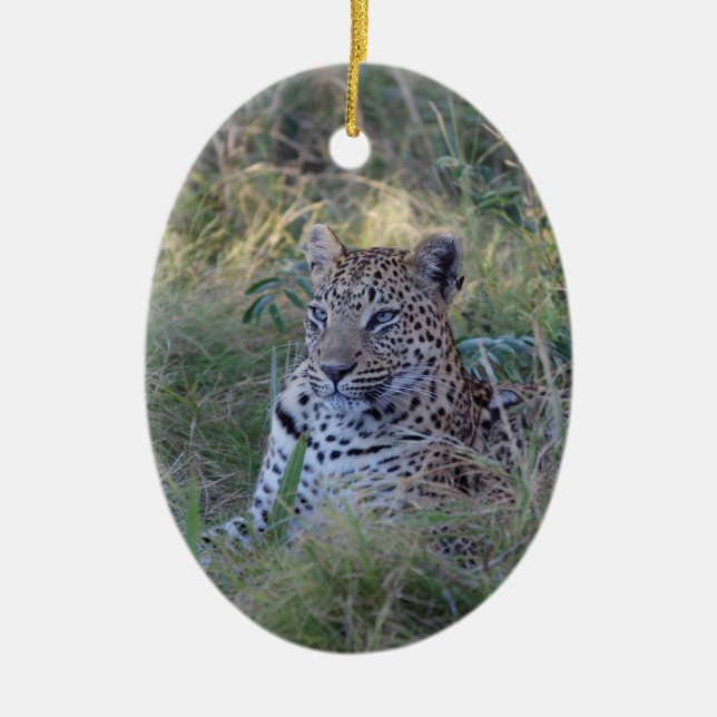 ORNAMENTO DE CERÂMICA LEOPARD (Frente)