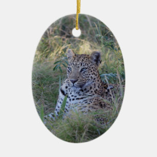 ORNAMENTO DE CERÂMICA LEOPARD 28 BOTSUANA