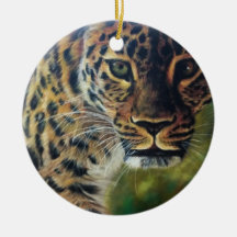 Leopard Walking no Sunset