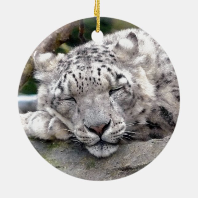 Ornamento De Cerâmica Leopardo de Neve - lindo! (Traseira)