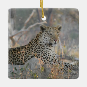 ORNAMENTO DE CERÂMICA LEOPARDO EM REPOUSO