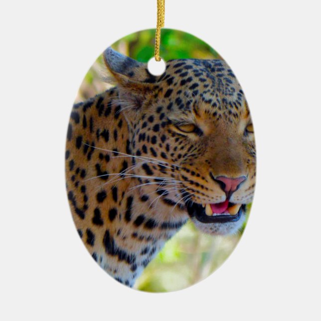 Ornamento De Cerâmica Leopardo Manchado (Frente)