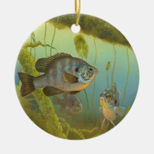 Ornamento De Cerâmica Lepomis Microlophus Timothy Knepp do Sunfish de