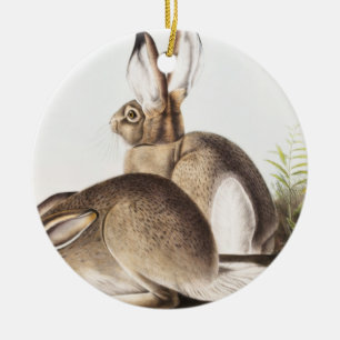 Ornamento De Cerâmica Lepus Townsendii (Lepus Townsendii)