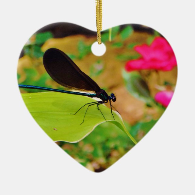 Ornamento De Cerâmica Libélula e Rosa (Frente)