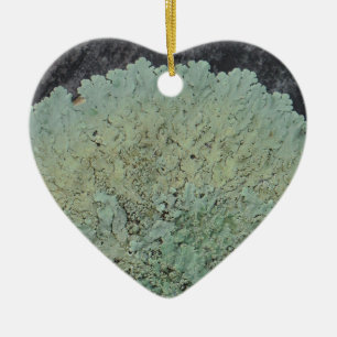 Ornamento De Cerâmica Lichen Mossy Circle