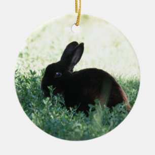 Ornamento De Cerâmica Lil Black Bunny