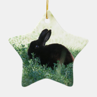 Ornamento De Cerâmica Lil Black Bunny