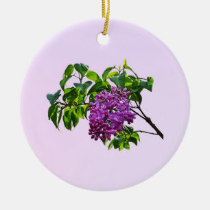 Ornamento De Cerâmica Lilacs Apenas Abrindo
