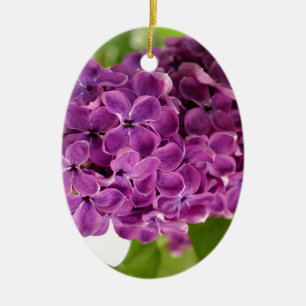 Ornamento De Cerâmica Lilás Bonito