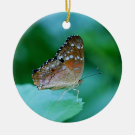 Ornamento De Cerâmica Linda Borboleta Danaus Plexippus na Folha.